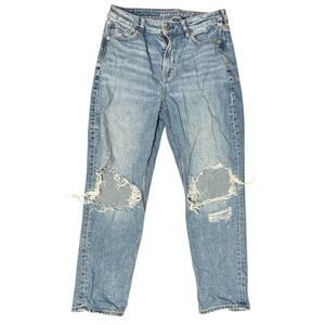 American Eagle Strigid Distressed Mom Jeans